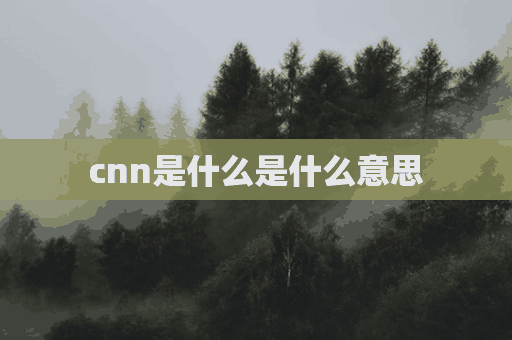 cnn是什么是什么意思(cnn是什么意思?)